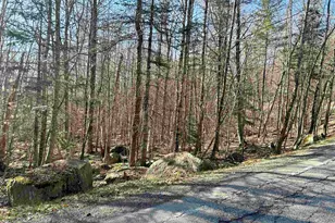 400 Rd Round the Lake, Grantham, NH 03753 - Photo 1