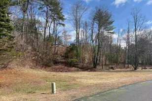 7 Lake Shore Dr, Winchester, NH 03470 - Photo 1