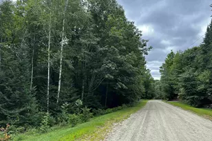 62 Patterson Rd, Wilmot, NH 03287 - Photo 1