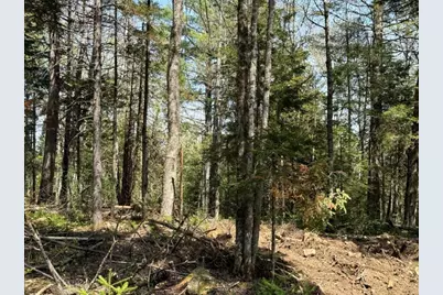 Lot 3 Nh Route 4A, Grafton, NH 03240 - Photo 1