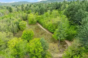 00 Currier Rd, Hill, NH 03243 - Photo 1