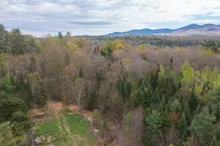Map 8 Lot 22 Indian Pipe Rd, Franconia, NH 03580 - Photo 1