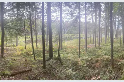 120 Halfmoon Pond Road, Grafton, NH 03240 - Photo 1