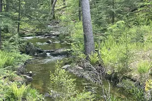 Us Route 3, Holderness, NH 03245 - Photo 1