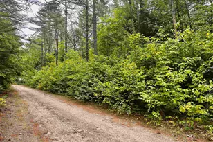 00 Tall Woods Loop, Bartlett, NH 03812 - Photo 1