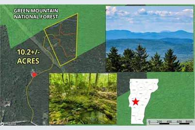 925 Hathaway Road, Goshen, VT 05733 - Photo 1