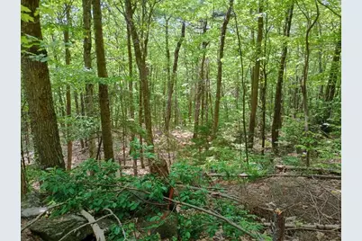 Blueberry Hill Road, Grafton, NH 03240 - Photo 1