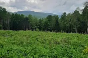 Lot 16 Oakes Rd, Columbia, NH 03576 - Photo 1