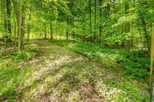 971 S Rd, Bethlehem, NH 03574 - Photo 1