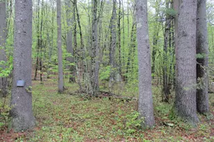 72 Brewster Rd, Barrington, NH 03825 - Photo 1