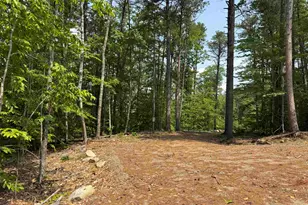 15 Circuit Rd, Ossipee, NH 03864 - Photo 1