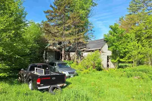 407 River Rd, Acworth, NH 03601 - Photo 1