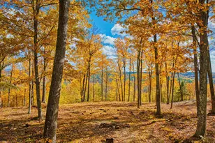 0 Beech Hill Rd, Andover, NH 03216 - Photo 1