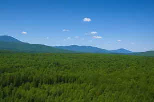 0 Mud Pond Rd, Dummer, NH 03588 - Photo 1