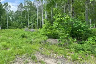Lot 33 Blake Trail, Tuftonboro, NH 03816 - Photo 1