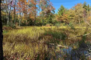 0 Green Mountain Rd, Effingham, NH 03882 - Photo 1