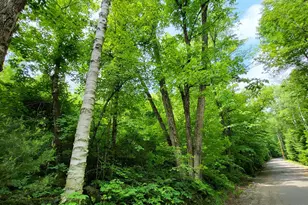 000 Blake Rd, Sugar Hill, NH 03586 - Photo 1