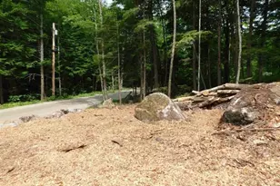 0 Bog Rd, Hillsboro, NH 03244 - Photo 1
