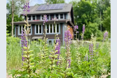 615 Forest Hills Road, Franconia, NH 03580 - Photo 1