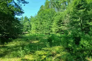 106 Middle Rd, Tuftonboro, NH 03816 - Photo 1