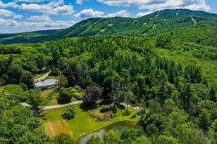 195 Old Province Rd, Goshen, NH 03752 - Photo 1