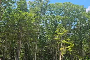 17 Bald Hill Rd, Raymond, NH 03077 - Photo 1