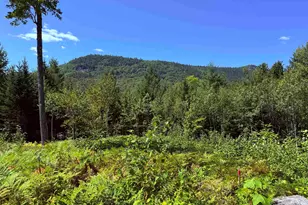F2 Cave Mountain Rd, Bartlett, NH 03812 - Photo 1