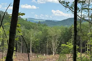 Lot 2 King Rd, Alexandria, NH 03222 - Photo 1