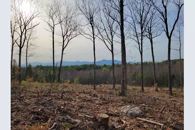 238-1-1 Maple Grove Road, Madison, NH 03849 - Photo 1