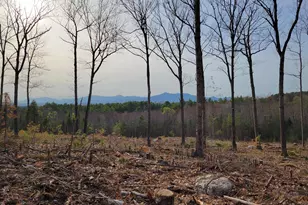 238-1-1 Maple Grove Rd, Madison, NH 03849 - Photo 1