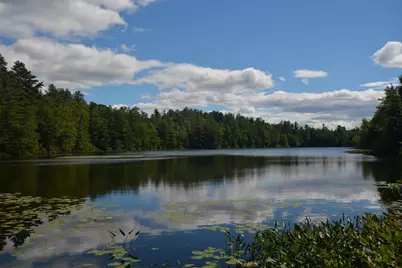 13 Forest Road, Grantham, NH 03753 - Photo 1