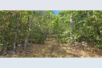 423-56 Griffin Road, Gilmanton, NH 03237 - Photo 1