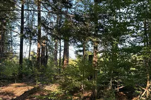 00 Berry Rd, New Durham, NH 03855 - Photo 1