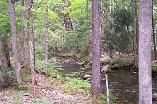 0 Brown Hill Rd, Tamworth, NH 03886 - Photo 1