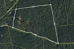 237 Halls Pond Rd, Charlestown, NH 03603 - Photo 1