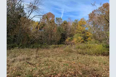 113 Jones Road, Effingham, NH 03882 - Photo 1
