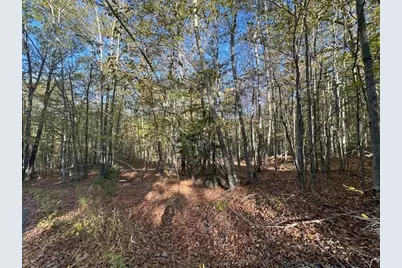 0 Old Walpole Road, Surry, NH 03431 - Photo 1