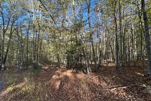 0 Old Walpole Rd, Surry, NH 03431 - Photo 1