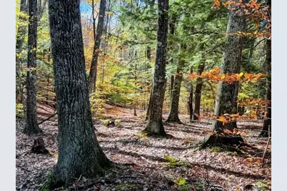 29&amp;31 White Brook Road, Gilsum, NH 03448 - Photo 1