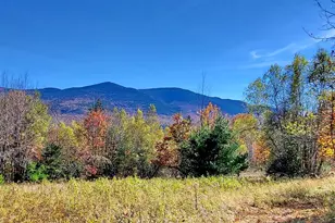 00 Ruskin Rd, Easton, NH 03580 - Photo 1