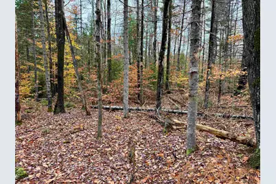 0 Washington Drive, Washington, NH 03280 - Photo 1