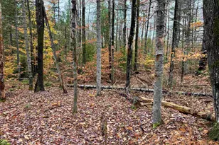 0 Washington Dr, Washington, NH 03280 - Photo 1