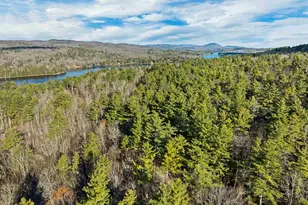 114 Eva Ln, Stoddard, NH 03464 - Photo 1