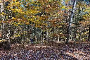 Lot 2 Laurel Ln, Wilmot, NH 03287 - Photo 1