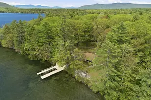 61 Wallace point Rd, Moultonborough, NH 03254 - Photo 1