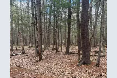 0 Tug Mountain Road, Orange, NH 03741 - Photo 1
