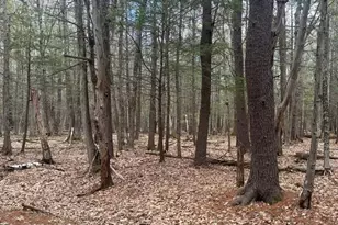 0 Tug Mountain Rd, Orange, NH 03741 - Photo 1