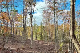 00 Fisher Rd, Deering, NH 03244 - Photo 1
