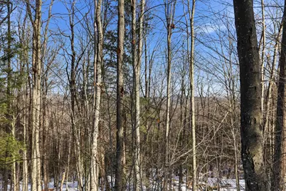 Tax Map5B Lot97 Nh Route 114 #97, Henniker, NH 03242 - Photo 1