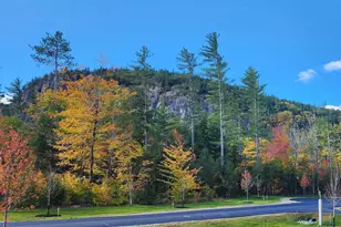 9 Lucy Brook Rd, Conway, NH 03860 - Photo 1